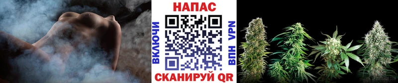 Купить закладки  Кизляр  Канабис Ganja 